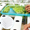 Sponges Sheet (1-inch) MHB Hydroponics