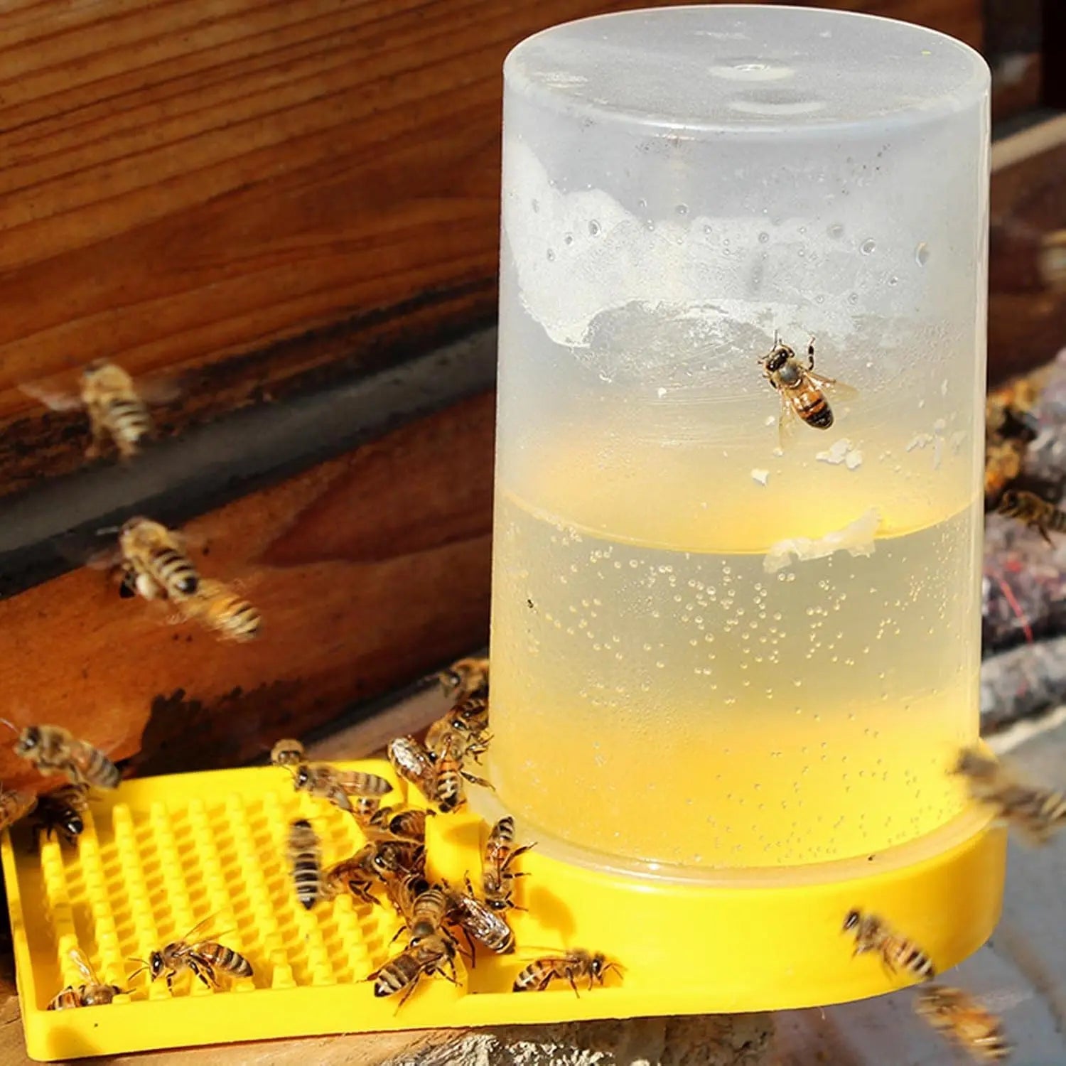 Bee Feeder Water Dispenser MHB Hydroponics