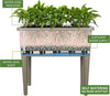 Self Watering Raised Garden Bed with Ventilation Transparent Lid MHB Hydroponics