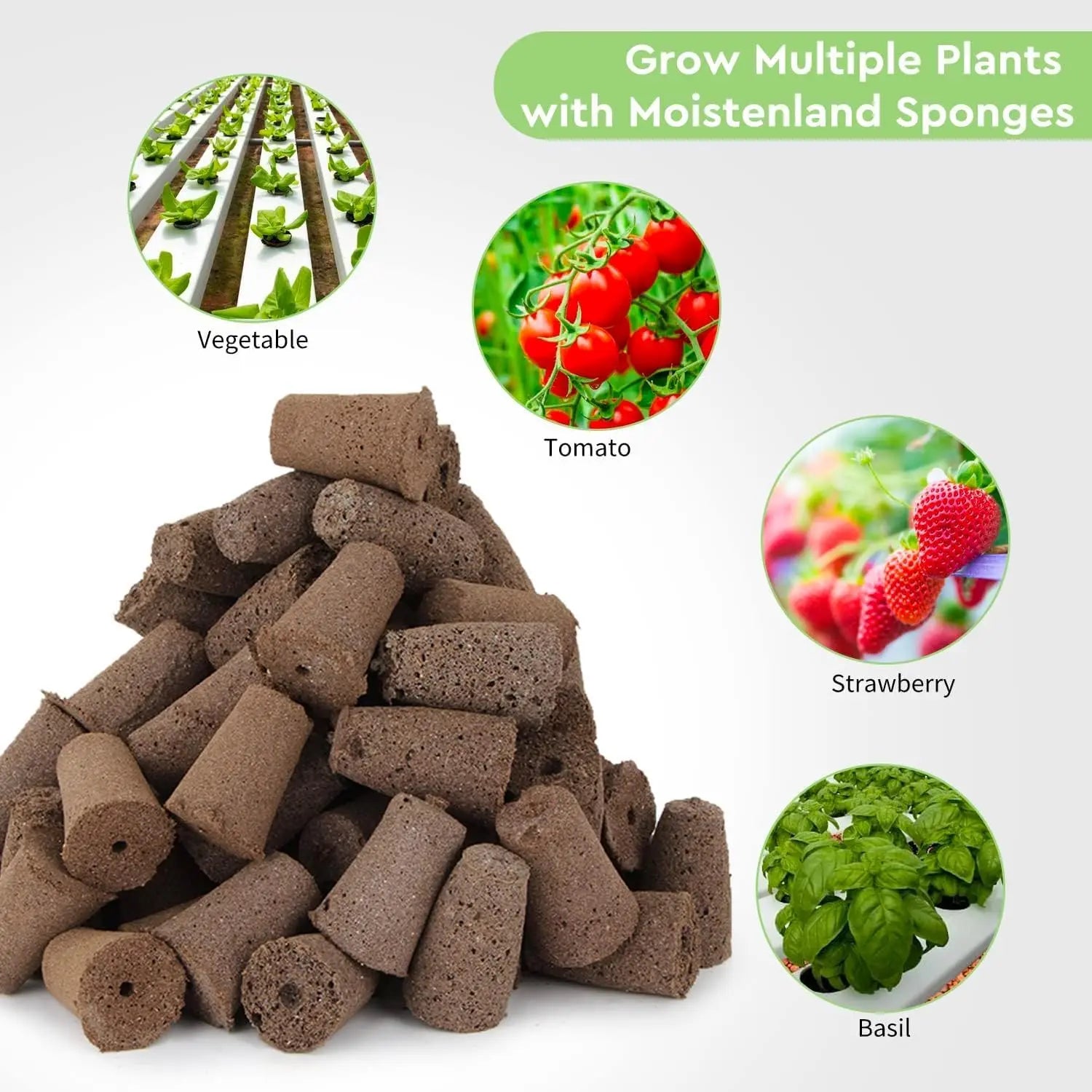 Planting Sponges Plug (10 pcs) MHB Hydroponics