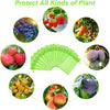 Professional Fruit Protection Bags (10 bags) MHB Hydroponics
