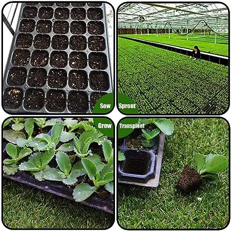 Seedling Tray 72 holes MHB Hydroponics