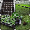 Seedling Tray 72 holes MHB Hydroponics