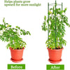 Trellis Stakes Cage for Vertical Climbing Plant Support MHB Hydroponics
