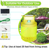 Outdoor Solar Fly Trap MHB Hydroponics