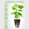 Planting Sponges Plug (10 pcs) MHB Hydroponics