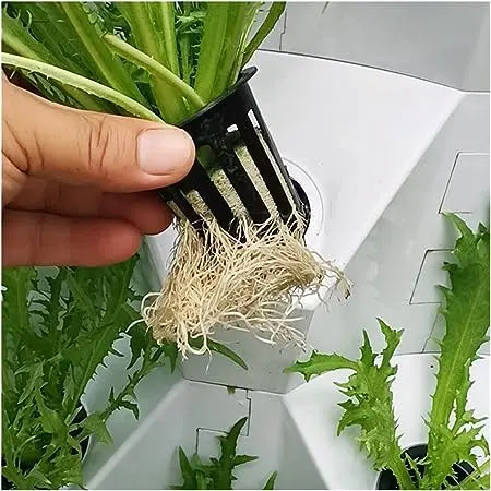 Pineapple Hydroponic Aeroponics Vertical System (64 Plant Holes) - MHB Hydroponics