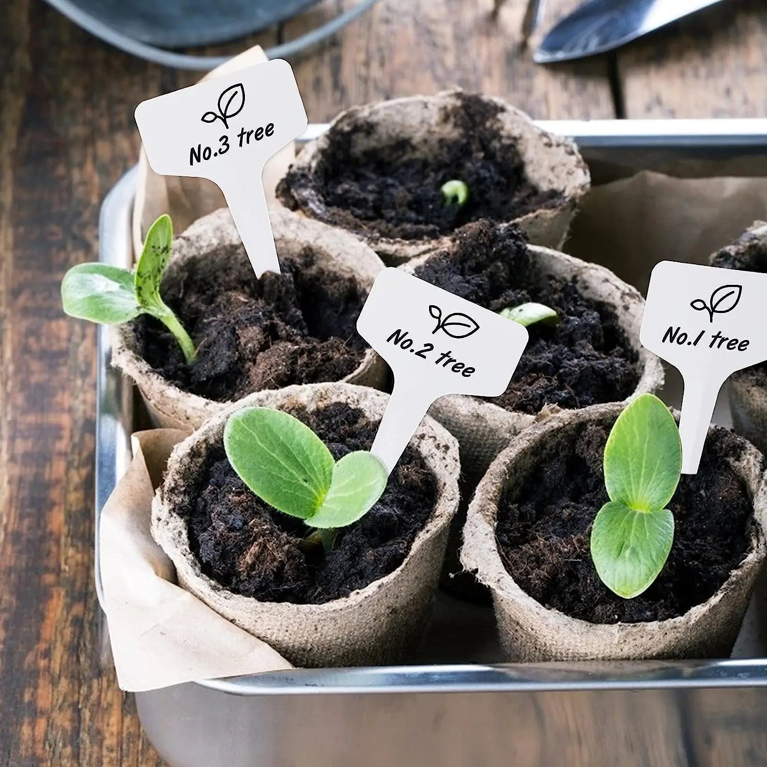 Plant Labels (10 pcs) MHB Hydroponics