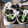 Plant Labels (10 pcs) MHB Hydroponics