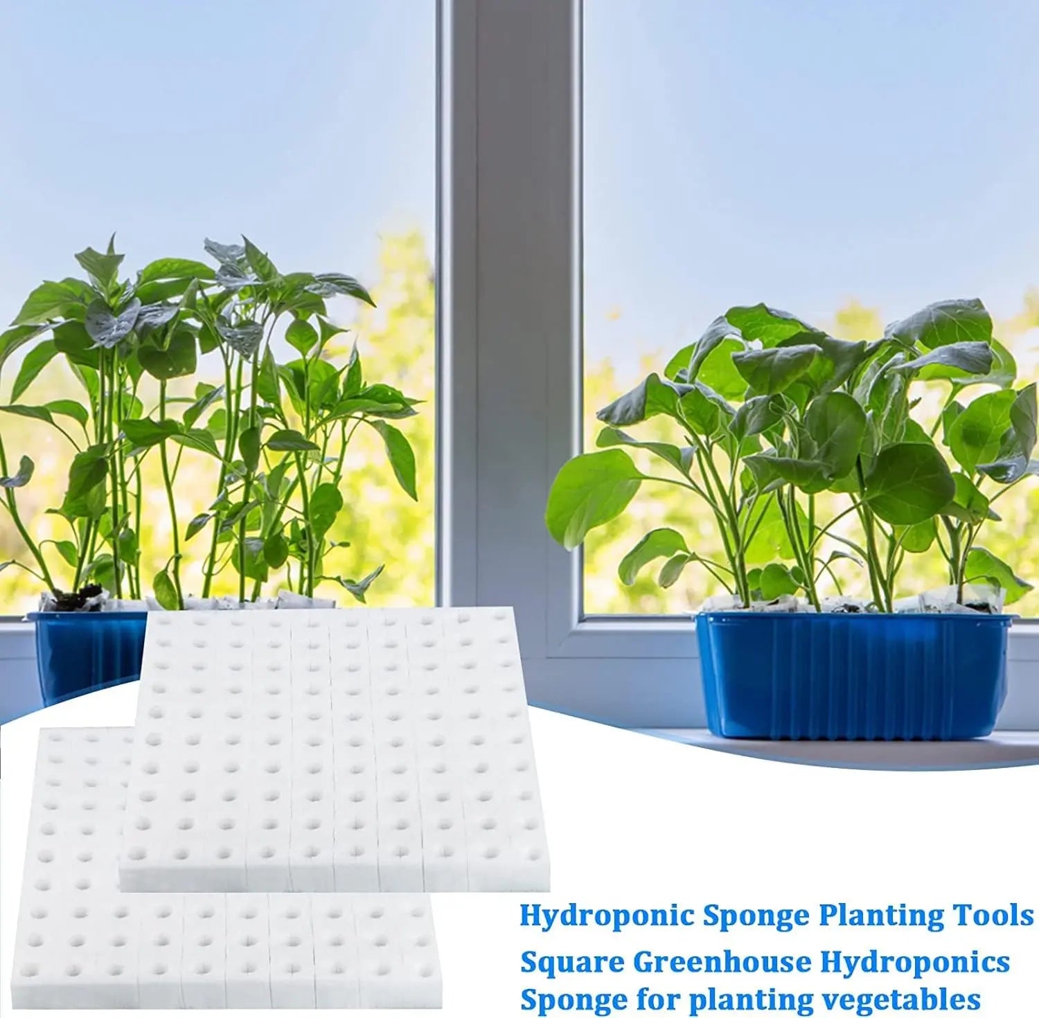 Sponges Sheet (1-inch) MHB Hydroponics