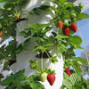 Vertical Hydroponics Professional Tower (36-holes) MHB Hydroponics