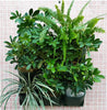 Vertical Garden Wall Stackable Wall Mounted Plant Pot MHB Hydroponics