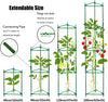 Trellis Stakes Cage for Vertical Climbing Plant Support MHB Hydroponics