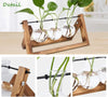 Bulb Vase Propagation Station – 3 Glass Vases with Wooden Stand MHB Hydroponics