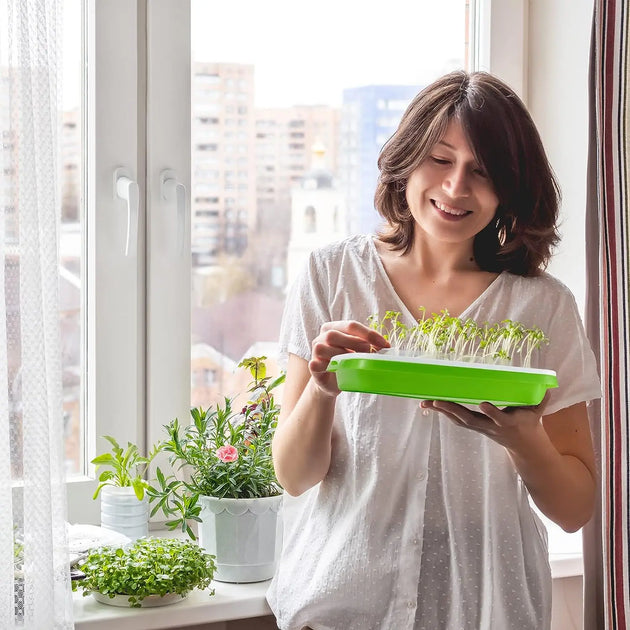 Microgreens Tray with Lid MHB Hydroponics