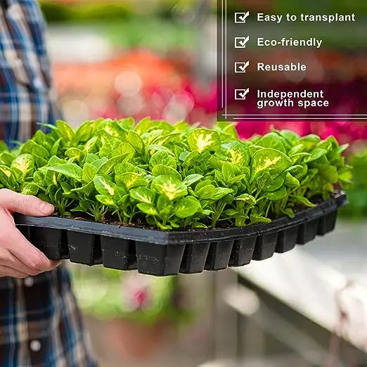 Seedling Tray 32 holes MHB Hydroponics