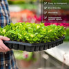 Seedling Tray 128 holes MHB Hydroponics