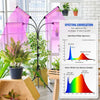 4 Head LED Grow Light with Stand (40W) MHB Hydroponics