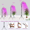 4 Head LED Grow Light with Stand (40W) MHB Hydroponics