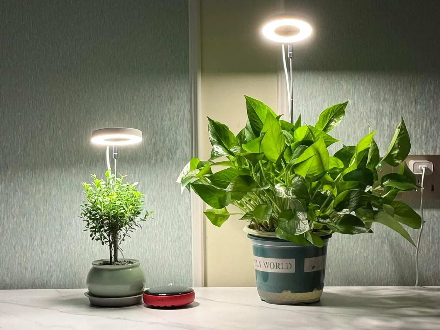 Halo LED Lamp Grow Light MHB Hydroponics