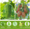 Professional Fruit Protection Bags (10 bags) MHB Hydroponics