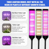 4 Head LED Grow Light with Stand (40W) MHB Hydroponics