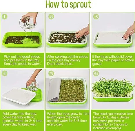Microgreen Rack MHB Hydroponics