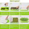 Microgreen Rack MHB Hydroponics