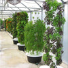 Vertical Hydroponics Professional Tower (36-holes) MHB Hydroponics