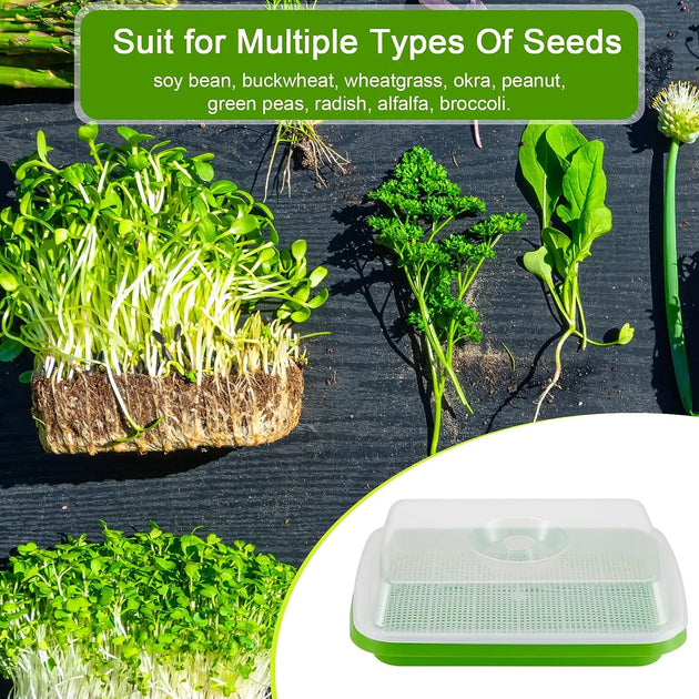 Microgreens Tray with Lid MHB Hydroponics