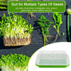 Microgreens Tray with Lid MHB Hydroponics