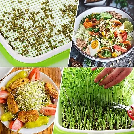 Microgreen Rack MHB Hydroponics