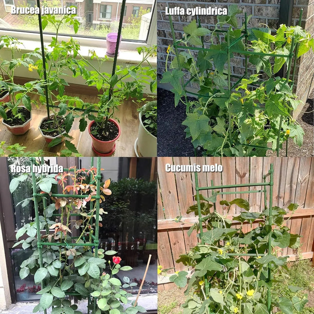 Trellis Stakes Cage for Vertical Climbing Plant Support MHB Hydroponics