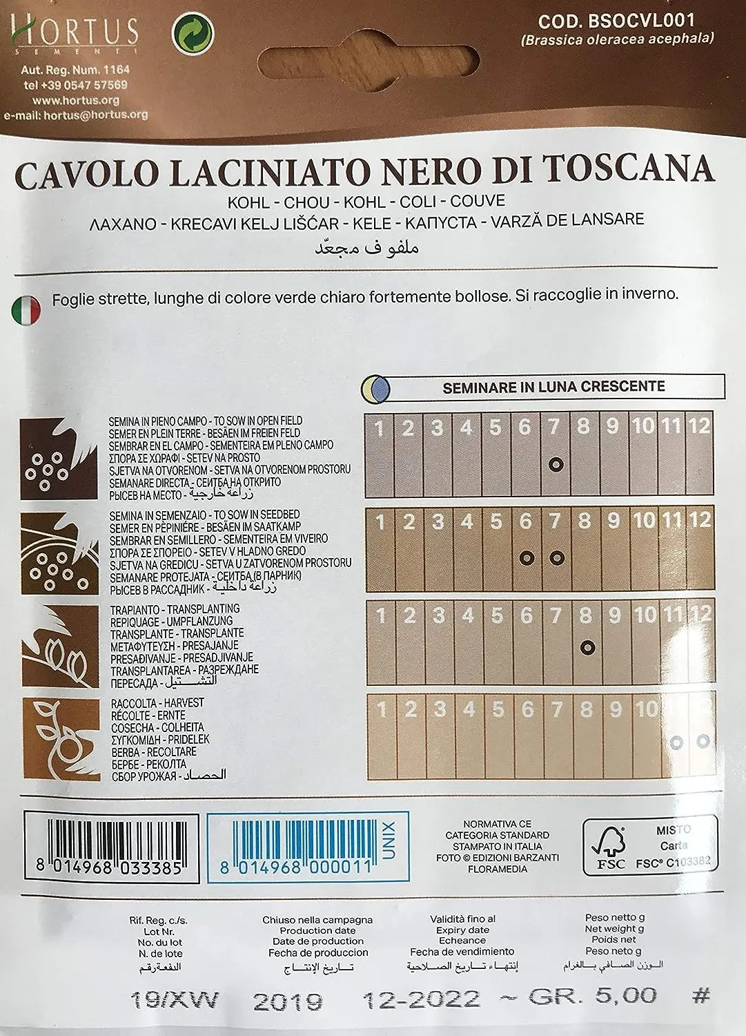 Italian Kale - Toscana/Black Tuscan MHB Hydroponics