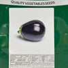 Eggplant Black Chantelle F1 MHB Hydroponics