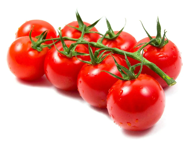 F1 Hybrid Tomato Marsh Seeds MHB Hydroponics