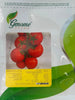 F1 Hybrid Tomato Marsh Seeds MHB Hydroponics