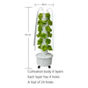 Vertical Hydroponics Indoor Tower - MHB Hydroponics