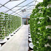Vertical Hydroponics Professional Tower (36-holes) MHB Hydroponics