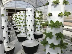 Vertical Hydroponics Professional Tower (36-holes) MHB Hydroponics