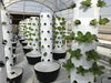 Vertical Hydroponics Professional Tower (36-holes) MHB Hydroponics