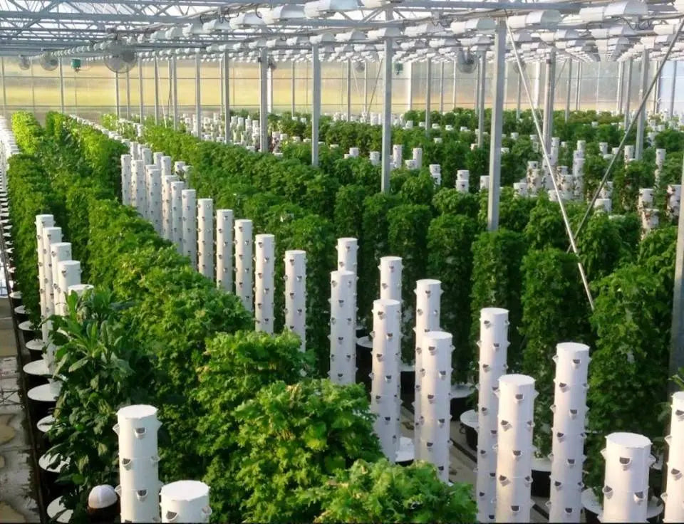 Vertical Hydroponics Professional Tower (36-holes) MHB Hydroponics