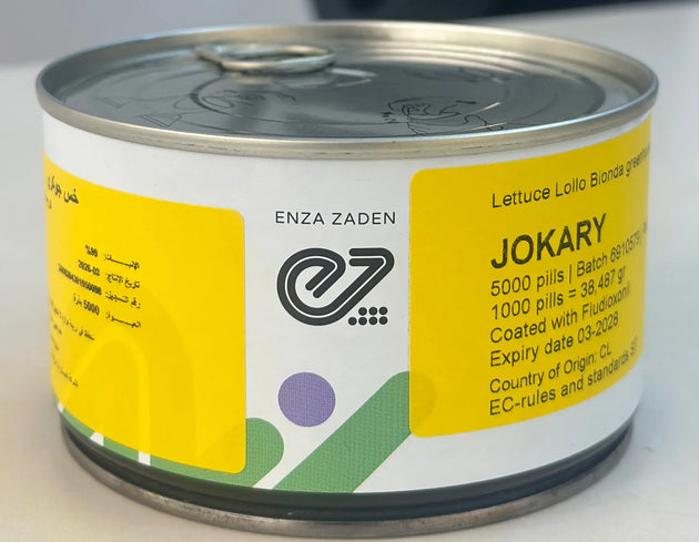 Jokary Lollo Biondo Lettuce Seeds Enza Zaden
