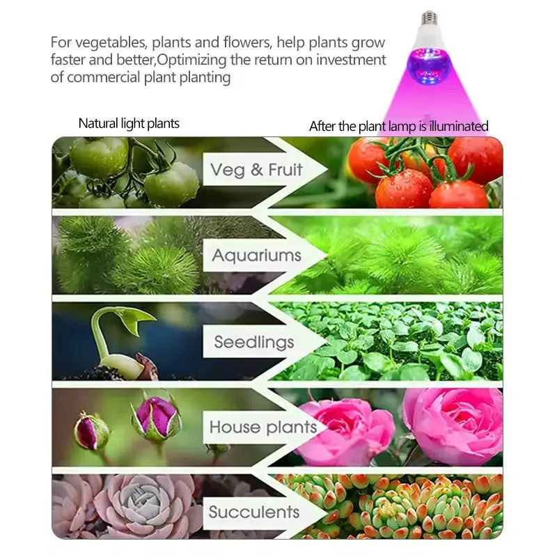 Grow Bulb Light 12W MHB Hydroponics