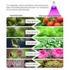 Grow Bulb Light 12W MHB Hydroponics