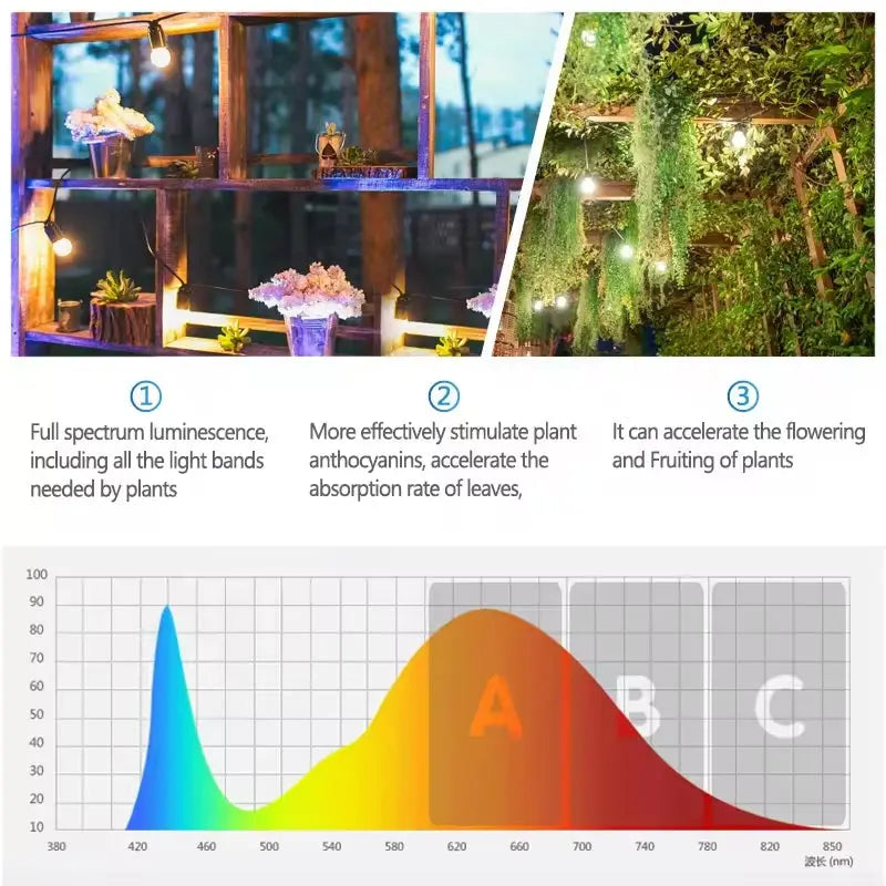 Grow Bulb Light 12W MHB Hydroponics