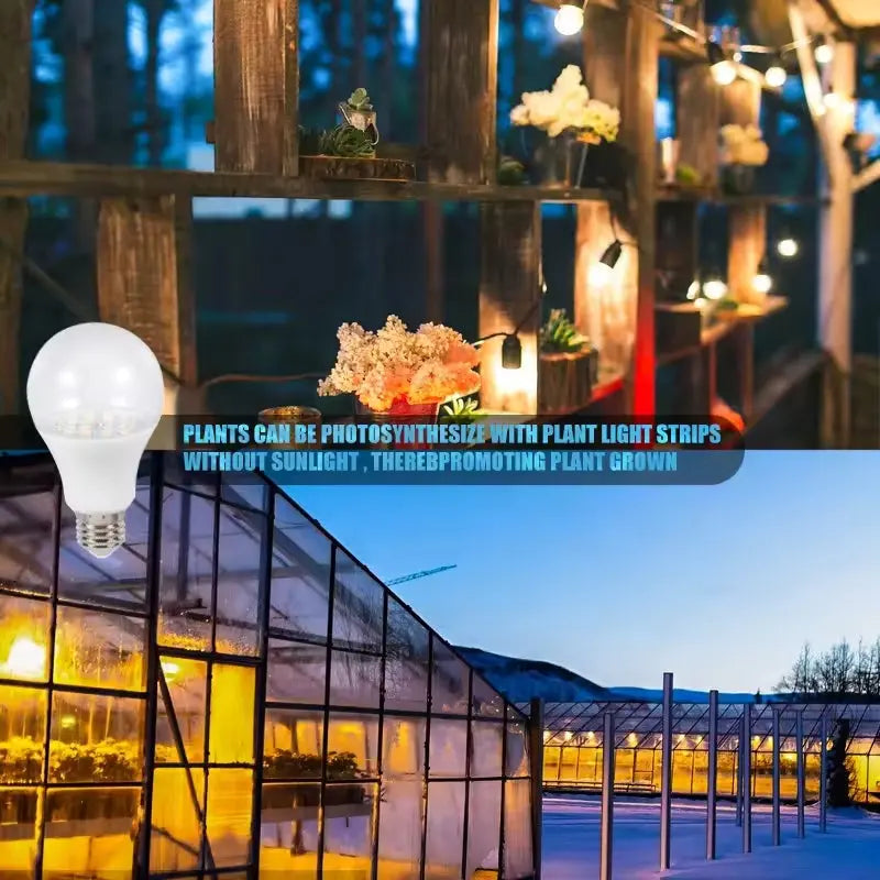 Grow Bulb Light 12W MHB Hydroponics