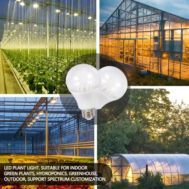 Grow Bulb Light 12W MHB Hydroponics