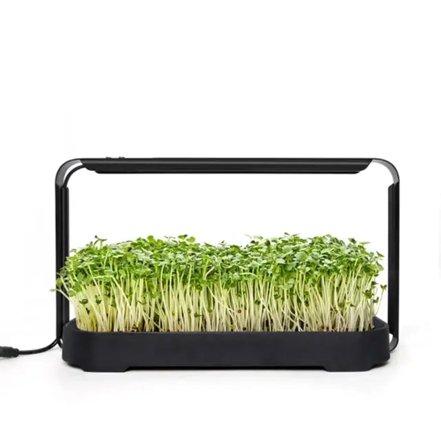 Microgreens