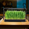 Microgreens Indoor Smart Garden Kit MHB Hydroponics